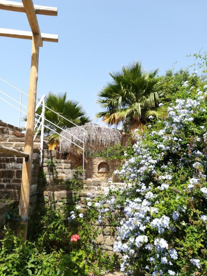Lemon Tree Cottage Finikounda Exteriér fotografie