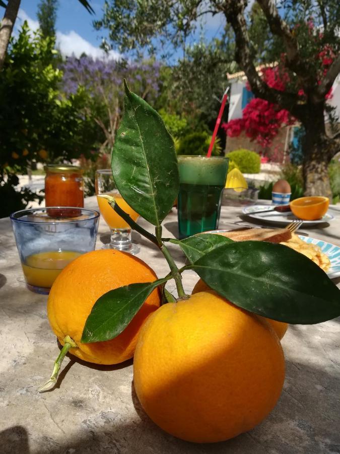 Lemon Tree Cottage Finikounda Exteriér fotografie